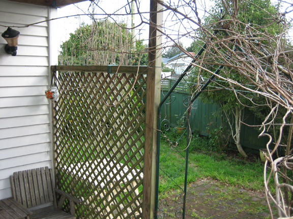 aroha-flat1.jpg