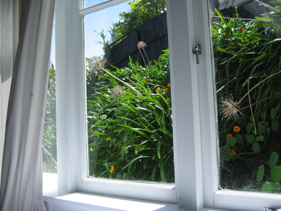 av-window1.jpg
