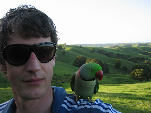 kaitaia-4.jpg